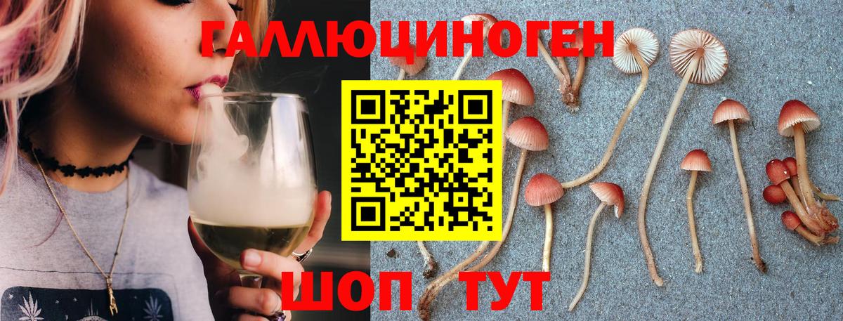 Галлюциногенные грибы мухоморы  Псилоцибиновые грибы Magic Shrooms  Ишим  Вход с VPN 